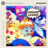 Dino Warriors x ChipTune - Drivers License (Extended Mix)