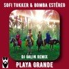 Sofi Tukker & Bomba Estéreo - Playa Grande (DJ GALIN Remix)
