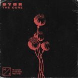 Byor - The Cure (Extended Mix)