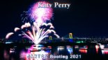 Katy Perry - Fireworks (JANTOS Bootleg 2021)
