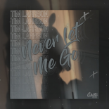 Tim Larrson - Never Let Me Go