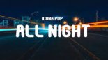 Icona Pop - All Night (Tiktok Remix)