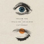 Imagine Dragons - Follow You (Original Mix)