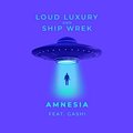 Loud Luxury & Ship Wrek feat. GASHI - Amnesia