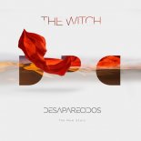 Desaparecidos - The Witch (Matthew Fisher Remix)