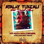 Pitbull feat. Lil Jon - Culo (Atalay Tuncali & Escobar H4CK3D)
