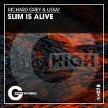 Richard Grey, Lissat - Slim Is Alive (Original Mix)
