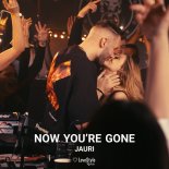 Jauri - Now You're Gone