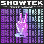 Showtek - Misbehaving (Extended Mix)