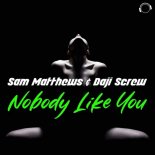 Sam Matthews & Daji Screw - Nobody Like You (Extended Mix)