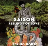 Saison - Feelings Of Love (Original Mix)