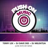 Terry Lex, DJ Dave Dee, DJ Milentija - Junk Into My Mind (Extended Mix)