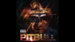 Pitbull - Give Me Everything (JVSTIN REMIX)