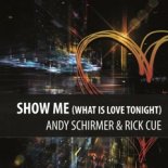 Andy Schirmer & Rick Cue - Show Me (What Is Love Tonight) (Lento Remix)