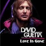 David Guetta - Love Is Gone (Alex PlaySer Remix)
