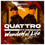 Quattro, Dziemian - Wonderful Life (Extended Mix)