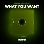 Sander van Doorn - What You Want (Extended Mix)