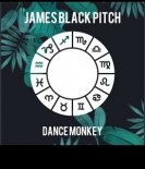 James Black Pitch - Dance Monkey (Extended Mix)