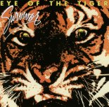 Survivor - Eye Of The Tiger (DJ Gypsy 90\'s Bootelg Mix)