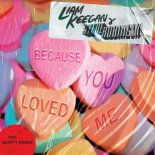 Liam Keegan feat. Steven Robinson - Because You Love Me (Scotty extended mix)