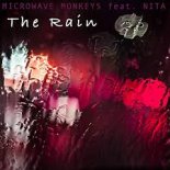 Microwave Monkeys feat. Nita - The Rain (Vocal Radio Mix)