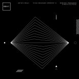 MUUI - Relevant Symmetry (Mononoid Remix)
