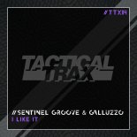 Sentinel Groove & Galluzzo - I Like It (Original Mix)