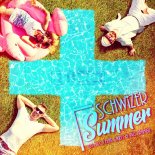 DJ Mico feat. Sandy & MC Tiramisu - Schwizer Summer (Radio Edit)