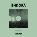 Gregor Potter & Linka - Endora (Extended Mix)