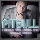 Pitbull - I Know You Want Me (VLLV Mashup)
