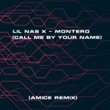 Lil Nas X - MONTERO (Call Me By Your Name) (Amice Remix)