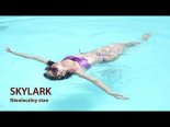 Skylark - Nieuleczalny Stan