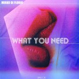 Mirko Di Florio - What You Need (Extended Mix)