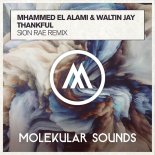 Mhammed El Alami & Waltin Jay - Thankful (Sion Rae Extended Mix)