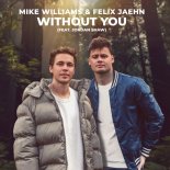 Mike Williams & Felix Jaehn feat. Jordan Shaw - Without You (Extended Mix)