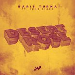Baris Turna feat. Yuno Space - Desert Rose