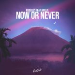 RudeLies Ft ANIELA - Now or Never