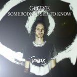 Gotye - Somebody I Used To Know (VOLB3X Remix)