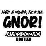 Nari & Milani, Dek 32 - Gnor! (James Cozmo Bootleg)