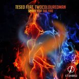 Teseo feat. twocolouredman - Spark for the Fire (Extended Mix)