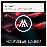 Bluskay - Gravitate Towards You (Extended Mix)