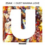 Zsak - I Just Wanna Love (Original Mix)