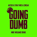 Alesso x Stray Kids x CORSAK - Going Dumb (Mike Williams Remix)