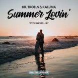 Hr. Troels & KALUMA feat.David Jay - Summer Lovin'