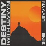 Siine feat. Levvyn - Destiny