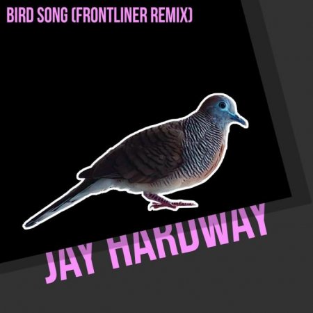 Jay Hardway - Bird Song (Frontliner Remix)