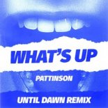 Pattinson - What's Up (Until Dawn Remix)