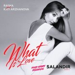 Raiwa - What Is Love (SAIANDIR Remix)