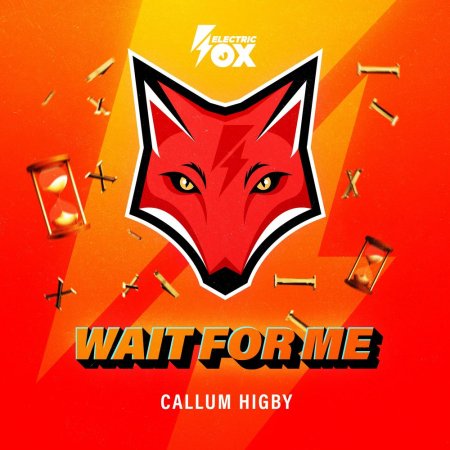 Callum Higby - Wait For Me (Extended Mix)