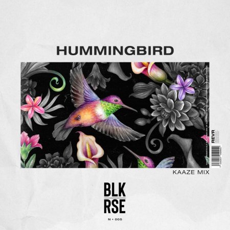 BLK RSE - Hummingbird (KAAZE Extended Mix)